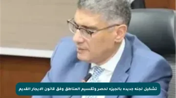 تشكيل لجنة جديدة بالجيزة لحصر وتقسيم المناطق وفق قانون الإيجار القديم